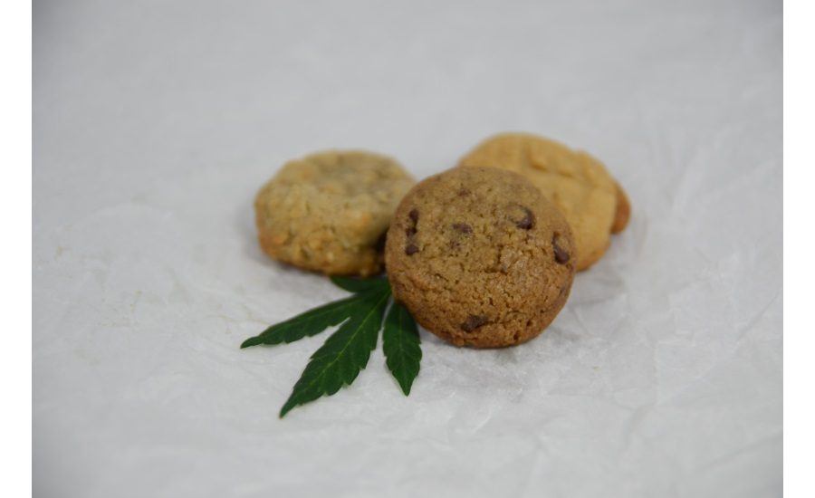 cannabis cookies, FOCUS