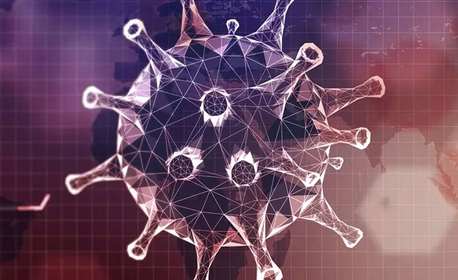 microscopic view of germ