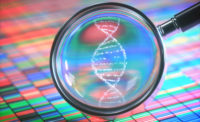 magnifying dna