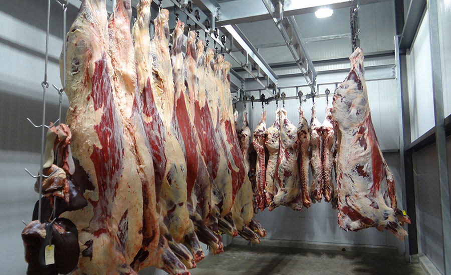 Meat Perspectives: Behind the burn - Department of Animal Science