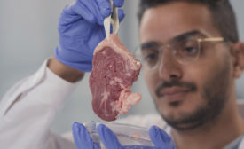 man holding meat in laboratory
