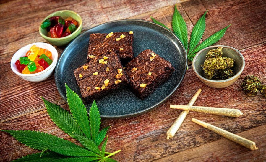 What the Food Safety Industry Needs to Know about Cannabis and Hemp Testing  | Food Safety Magazine