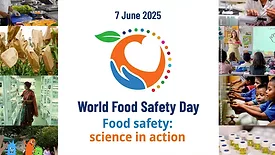 Official logo for World Food Safety Day 2025