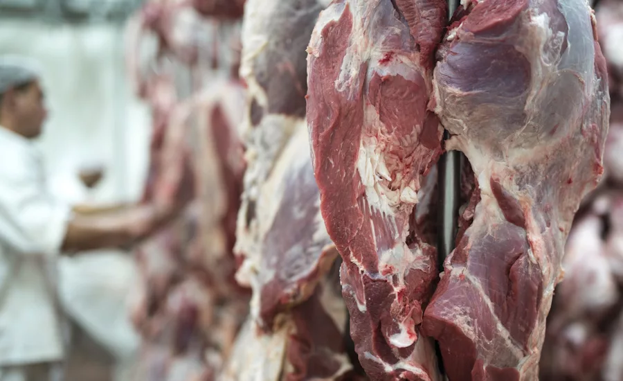 Red meat hanging in butchery with worker in the background