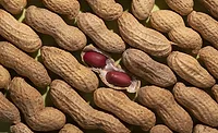 Image of peanuts