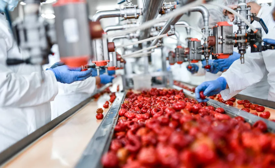 Image of produce being washed on a conveyor belt in a facility