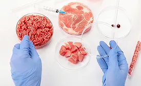 Cultivated meat samples in petri dishes