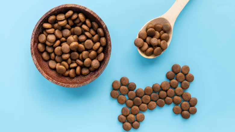 dog kibble arranged in shape of bone next to bowl and spoon full of kibble