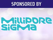 Fss26 livestreaming sess mil