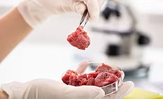 lab grown meat in a petri dish 