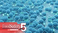 rendering of bacterial cells forming a biofilm