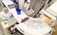 people working on chocolate production line