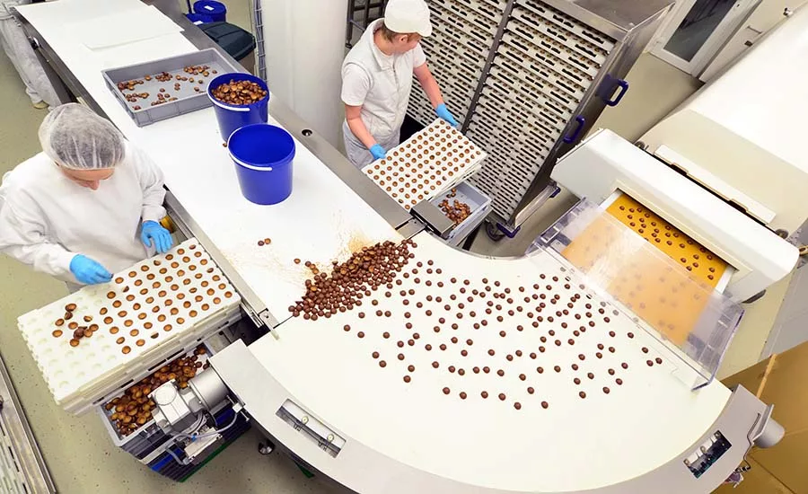 people working on chocolate production line