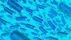 Pathogens against a blue light background