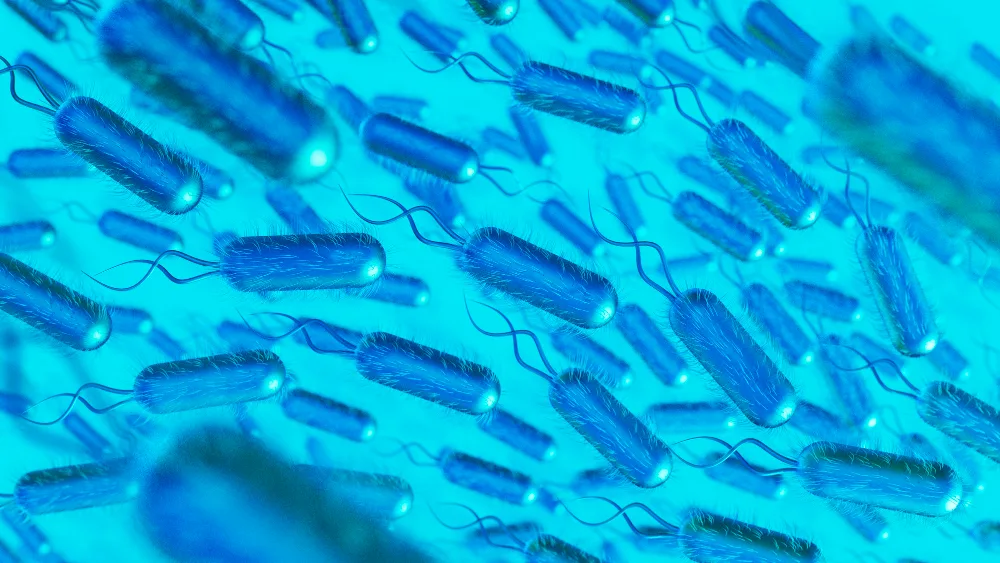 Pathogens against a blue light background