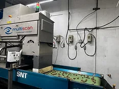 Multiscan MXV-Bulk X-ray inspection system for nuts