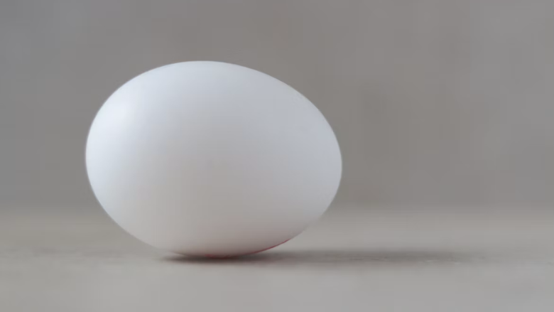 Repeated European Salmonella Outbreaks Traced to Polish Egg Firm