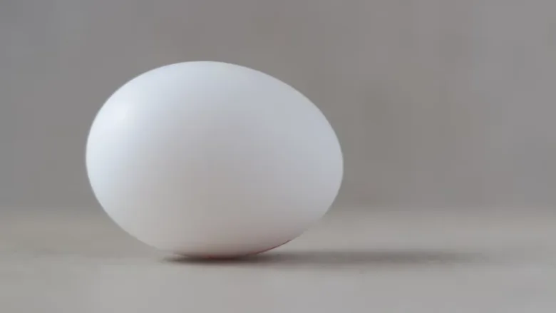 an egg