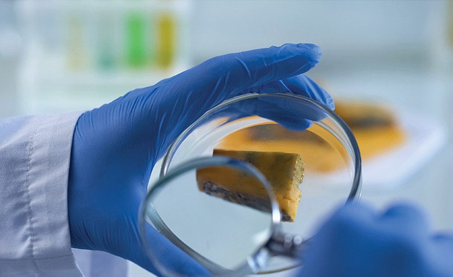 Improve inspection and detection of dairy product contaminants 2019