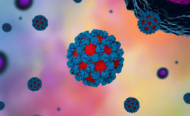 norovirus colorful