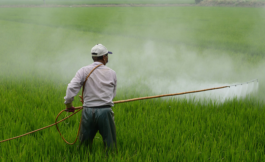 worker spraying pesticides in field