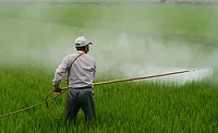 worker spraying pesticides in field worker spraying pesticides in field