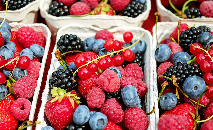 berries and produce