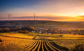 field to grow produce