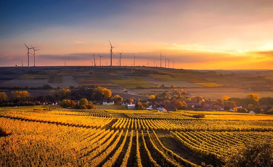 field to grow produce