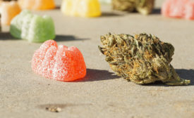 gummies and THC/cannabis