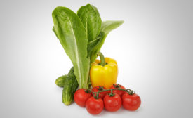 romaine lettuce, bell pepper, tomato