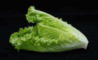 romaine lettuce, black background