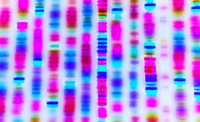 whole-genome sequencing