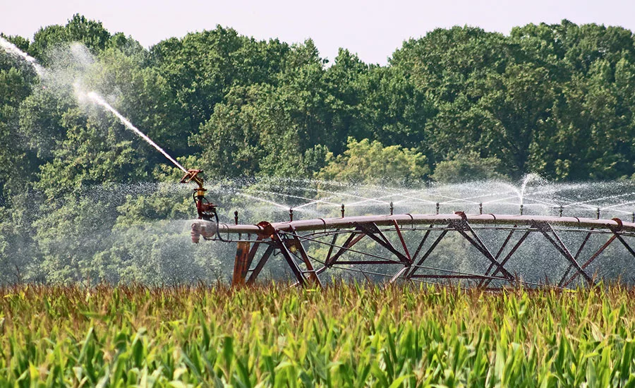 FDA Proposes Revision for Produce Safety Rule's Agricultural Water Requirements