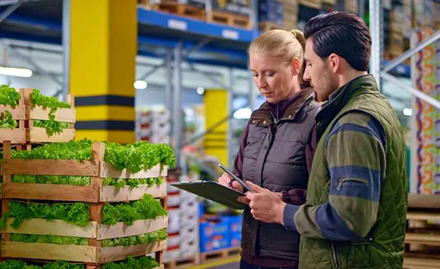 two people working in warehouse next to pallets of lettuce looking at documents