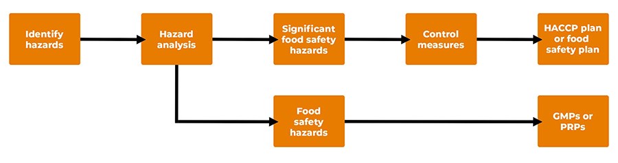 Mitigating the Risk of 'Fake' Food - Food Quality & Safety