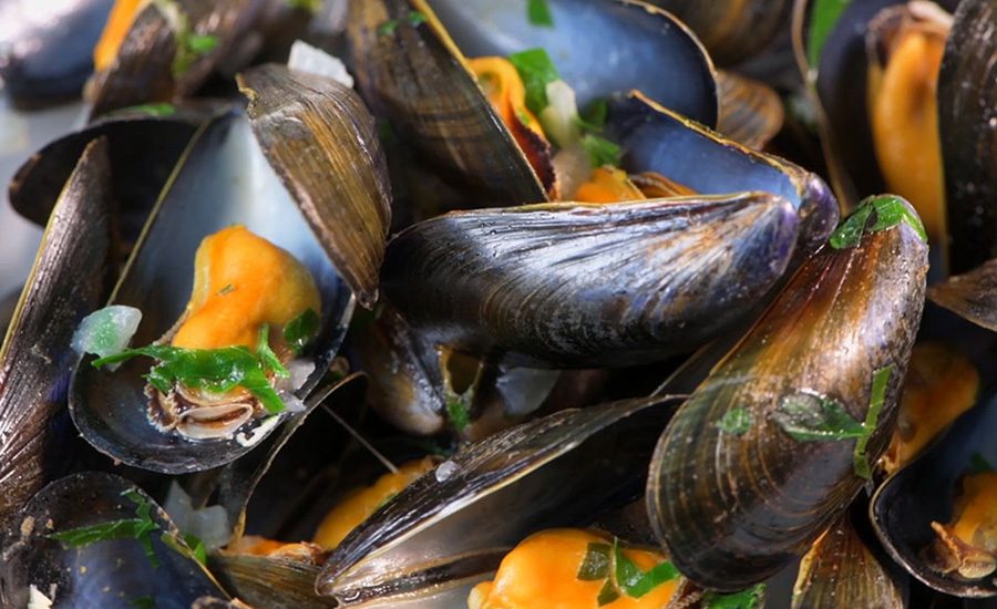 Marine Biotoxin Control for Molluscan Shellfish Food Safety