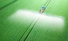 Pesticide residues Pesticide residues