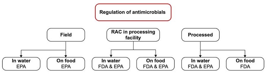 Agency Responsibility for Regulating Sanitation at Different Stages