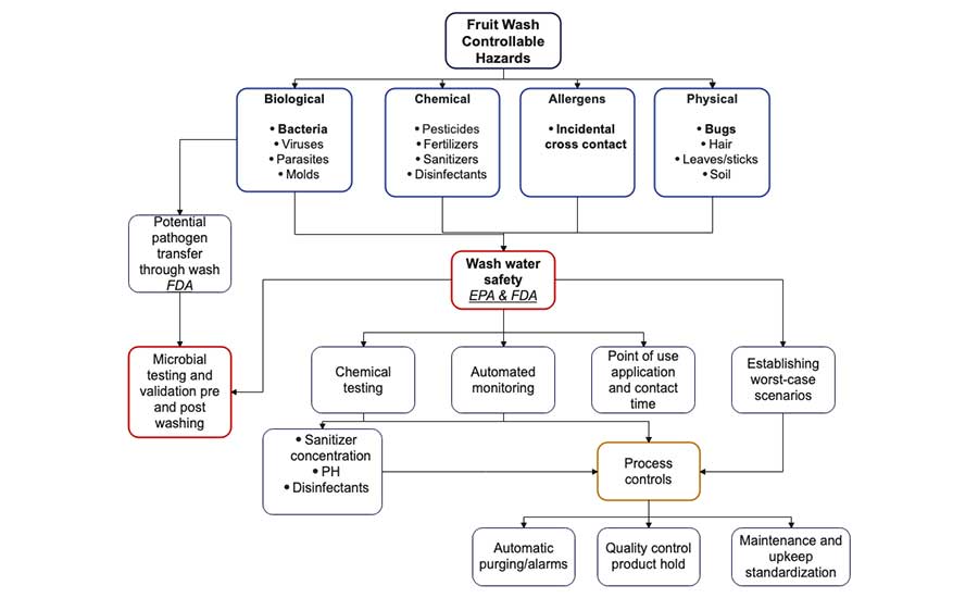 Controllable Hazards in Fruit Water Wash Operations