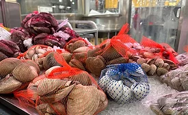 shellfish