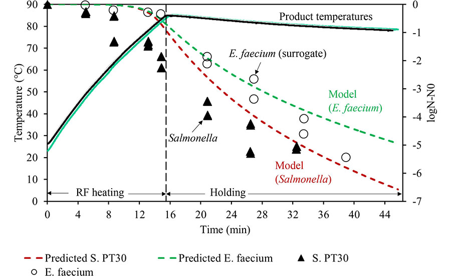Survival and model prediction of Salmonella and E.