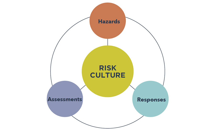 Interrelationships Among Key Elements Defining Organizational Risk Culture