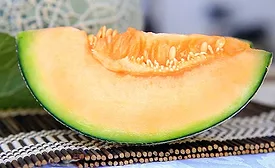 Cantaloupe