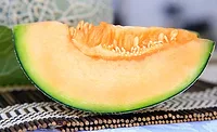 Cantaloupe
