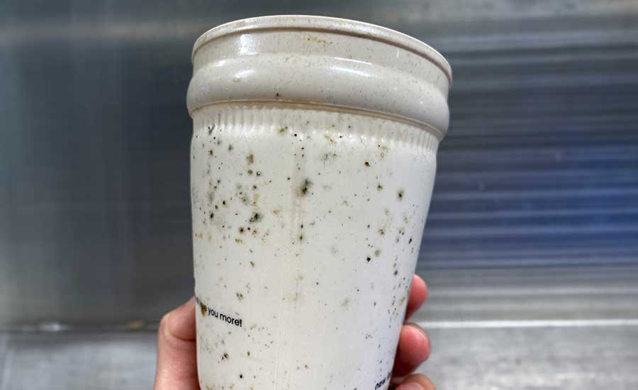 Extensive Mold Growth on a Used Cup Stored at 5 °C (41 °F) in an Airtight Bag