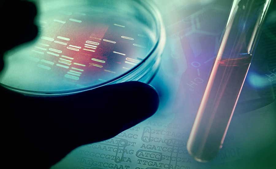 Q&A: EFSA Explains New EU WGS Data-Sharing Requirements for Foodborne Illness Outbreaks
