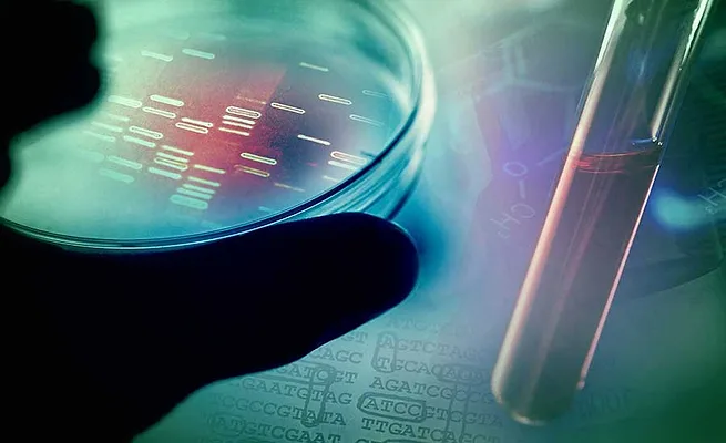 dna sequencing dna sequencing