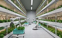 robots picking up herbs
