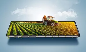 illustration of crops 